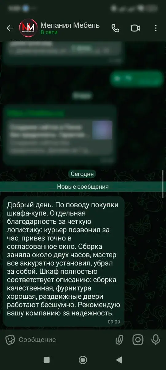 отзывы мелания 003